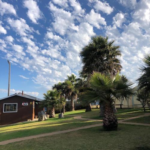 a group of palm trees in a yard with a cloudy sky at Cabañas Costatour Quintero in Quintero
