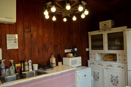 a kitchen with a sink and a stove and a microwave at Őrálló Szer in Őriszentpéter