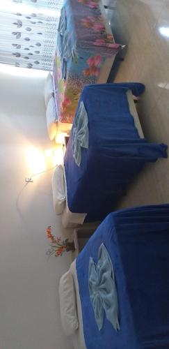 two beds in a room with blue covers on them at Pousada Vó Santina in Protásio Alves