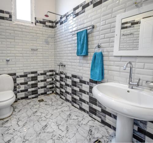 La salle de bains est pourvue d'un lavabo et de toilettes. dans l'établissement Nefertarie Guest House, à Louxor
