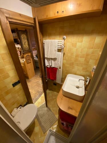 a small bathroom with a toilet and a sink at Incantevole monolocale in centro a Cortina. in Cortina dʼAmpezzo