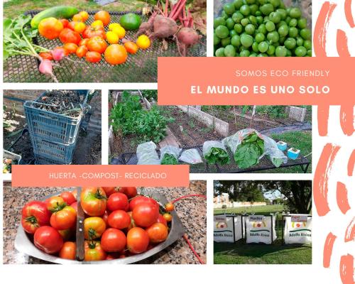 a collage of photos of tomatoes and other vegetables at CASA VERDE 1 depto in Carhué