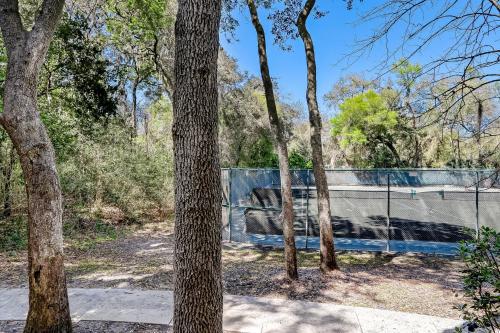費南迪納比奇的住宿－Tennis Villas II，围栏前的一群树木