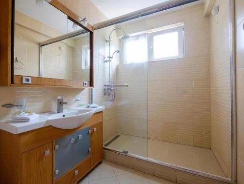 a bathroom with a shower and a sink and a mirror at Bulevar Star Apartment in Belgrade