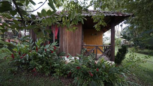 Cabañas Toniná Kayab – Photos 4