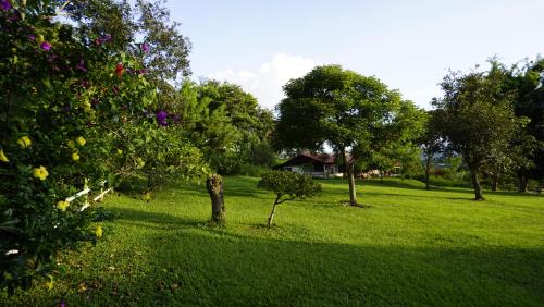 Cabañas Toniná Kayab – Photos 2