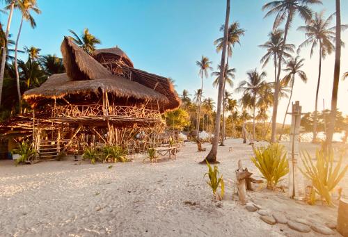 エルニドにあるDryft Darocotan Islandのヤシの木が茂る浜辺の藁小屋