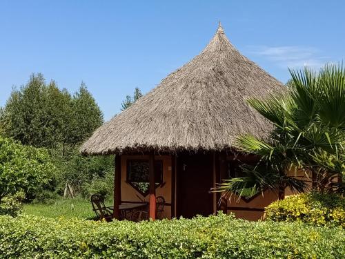Jardín al aire libre en The Great Circle Lodge