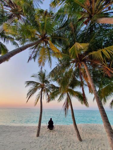 a man sitting in a hammock between two palm trees on the beach at Blue Coral Vashafaru Maldives in Vashafaru