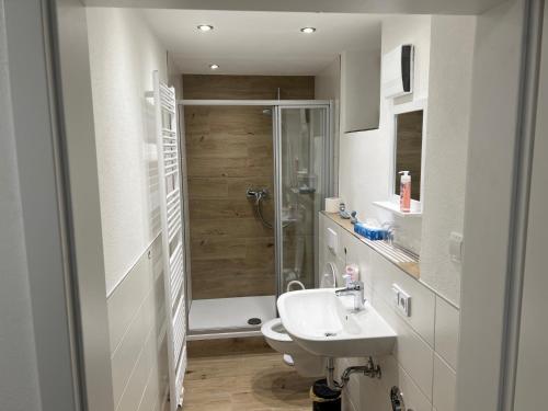 Ferienwohnung Raiffeisenstraße -groß-にあるバスルーム