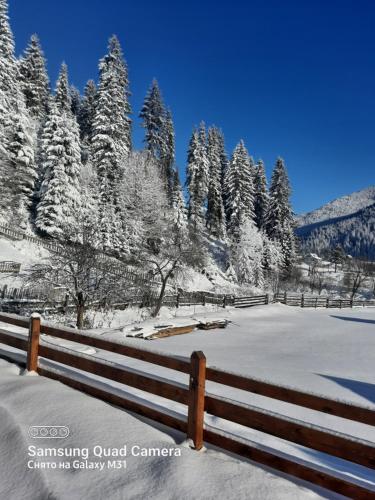 a fence covered in snow with trees in the background at Котедж "Смерековий затишок" in Vorokhta