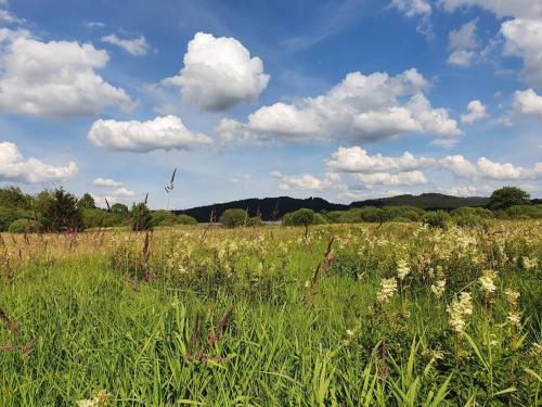 a field of tall green grass with clouds in the sky at Relax Vila Lipno- apartmán v podkroví u pláže Windy Point in Černá v Pošumaví