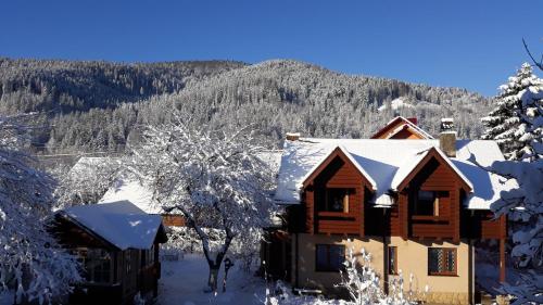 a house covered in snow with a mountain in the background at У Тарнавских in Mykulychyn