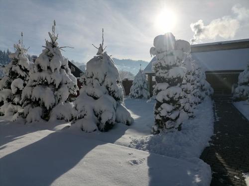 a group of snow covered trees in a yard at Chalet Zolota Pidkova in Slavske