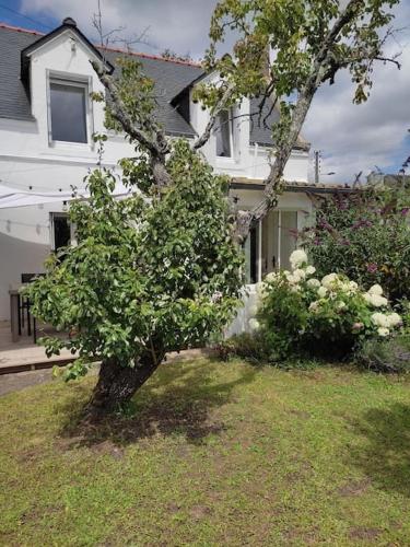 un arbre dans l'herbe devant une maison dans l'établissement La Maison du Verger avec Jardin, à Carnac