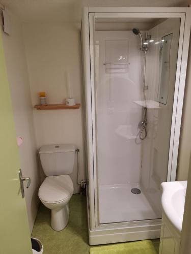 une salle de bain avec des toilettes blanches et une douche dans l'établissement Appartement cosy et fonctionnel la Bourboule, à La Bourboule