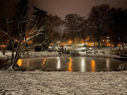 a pond covered in snow at night with lights at Ferienwohnung für Alt und Jung in Sonneberg
