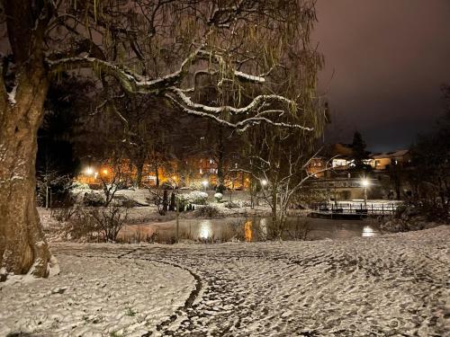 un parque cubierto de nieve por la noche con un árbol en Ferienwohnung im Zentrum von Sonneberg, en Sonneberg