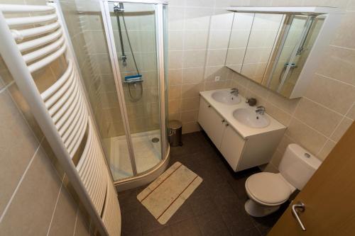 a bathroom with a shower and a toilet and a sink at Huize Oesjoe in Bredene