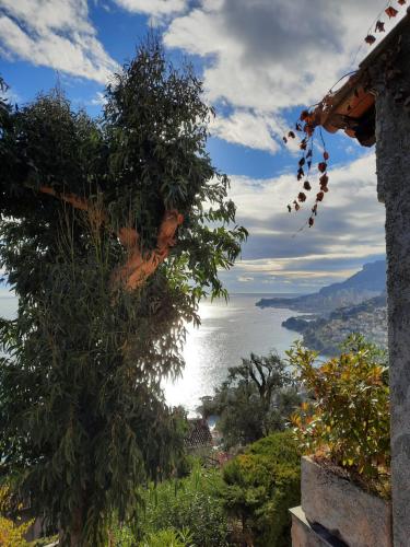 a view of the ocean from a house with a tree at Soutariba in Roquebrune-Cap-Martin