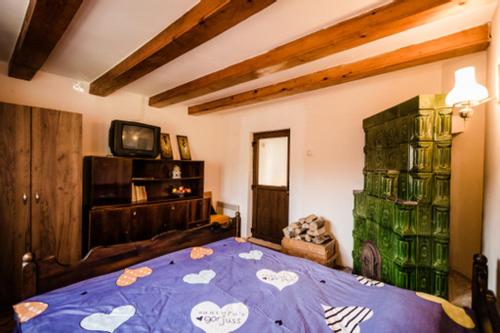 een slaapkamer met een blauw bed met harten erop bij Casa Adelina in Valea Lungă-Cricov