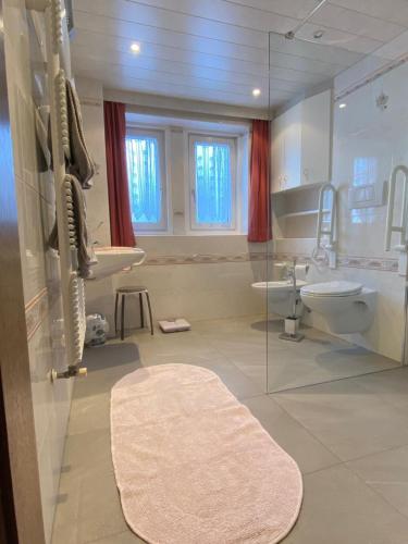 een badkamer met een wastafel, een toilet en een spiegel bij Appartamenti Hacoli in Selva di Val Gardena