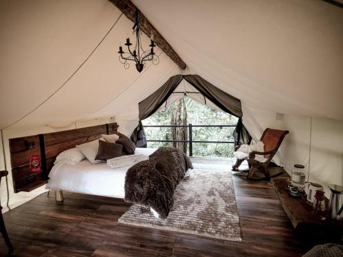 um quarto com uma cama numa tenda em Glamping El Color de mis Reves Recinto del Pensamiento em Manizales