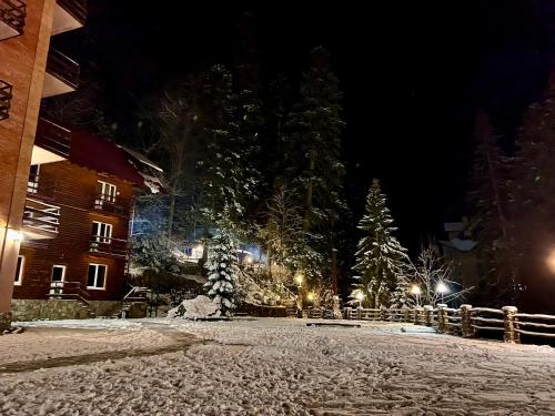a snowy street at night with trees and lights at Taulu in Dombay