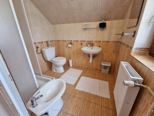 a bathroom with a toilet and a sink at Abigél 2 Vendégház in Miskolctapolca