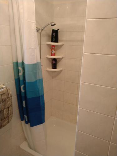 a bathroom with a shower with a blue shower curtain at Apartmán U Čechů in Albrechtice v Jizerských horách
