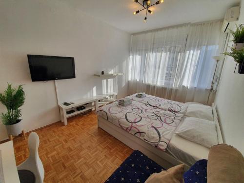 1 dormitorio con 1 cama y TV de pantalla plana en Oasis Belgrade, en Belgrado