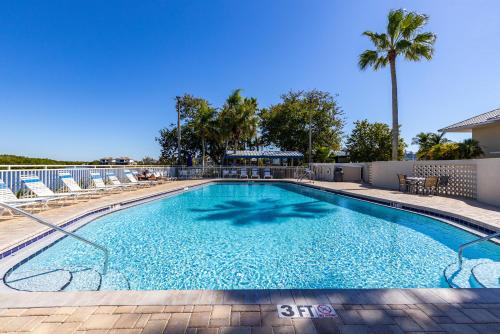 a swimming pool with chairs and a palm tree at Come Stay Where the Dolphins Play! in Ruskin