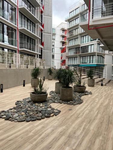 a courtyard in a large building with potted plants at Moderno Apto Shift Zona 16, cerca de Embajada EEUU y Explanada Cayala in Guatemala