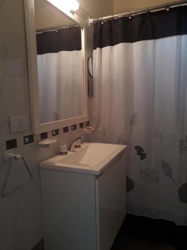 a bathroom with a sink and a shower curtain at La Casa de Liber in Tandil