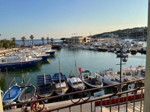 a group of boats docked in a harbor at L'AUTHENTIQUE - Sur le Port - Parking - Wifi in Cassis