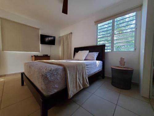 Postel nebo postele na pokoji v ubytování Aguadilla Waves Apt Free Parking & Wifi 8 minute walk from Crashboat beach