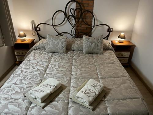 NICOLE DONEY LOCAZIONE TURISTICA في فيرونا: سرير كبير ووسادتين عليه