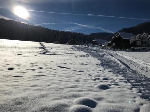 a snow covered field with footprints in the snow at Nagerhof in Gnesau