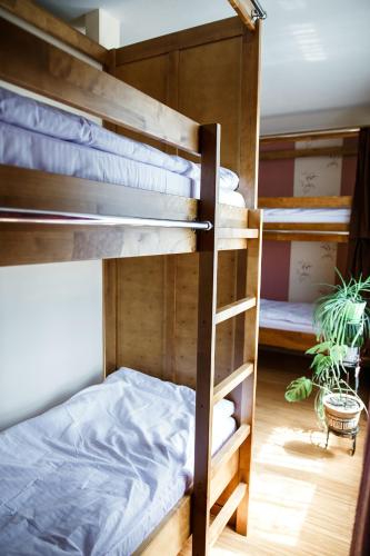 a bunk bed with a ladder in a room at Sweet Home Hostel in Chernivtsi