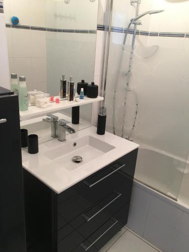 une salle de bain avec un lavabo et une douche dans l'établissement 2 Pièces - Quartier Calme - Parking gratuit, à Metz