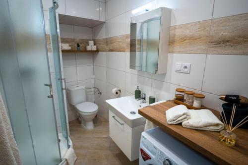 uma casa de banho com um lavatório, um WC e um espelho. em ⭑ Comfy VIP studio in the center with Netflix em Brno