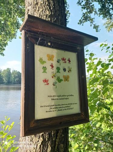 a picture of flowers in a frame hanging on a tree at Penzion Poslední míle in Milovy
