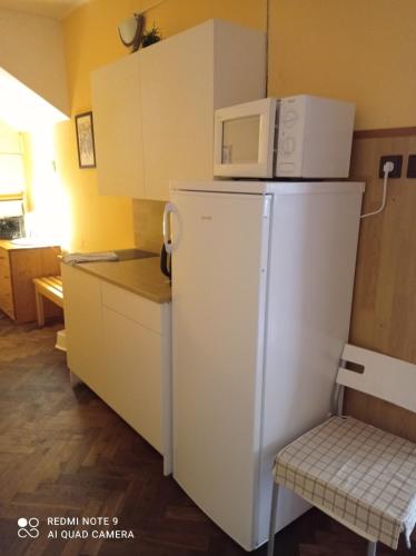 a kitchen with a refrigerator and a microwave on top of it at Penzion Poslední míle in Milovy