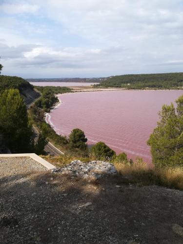 Φυσικό τοπίο κοντά σε αυτό το δωμάτιο σε οικογενειακή κατοικία