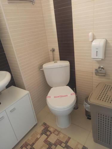 a bathroom with a white toilet and a sink at Apartman Sky Banja Vrujci in Gornja Toplica