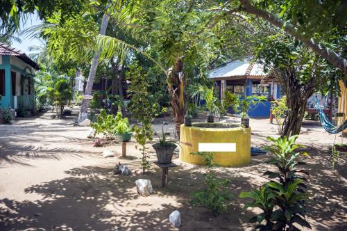 a garden with trees and plants and a building at Arne's Place in Arugam Bay