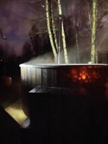 a fountain in front of some trees at night at Między Brzozami in Pieczarki