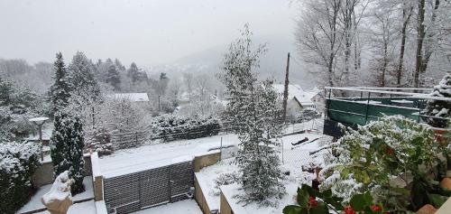 un patio cubierto de nieve con árboles y edificios en Chambre double, en Boersch