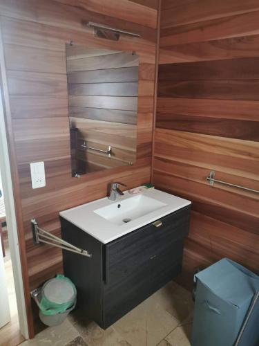une salle de bain avec un lavabo et un miroir dans l'établissement Ti Kaz en l'R, à Saint-Leu