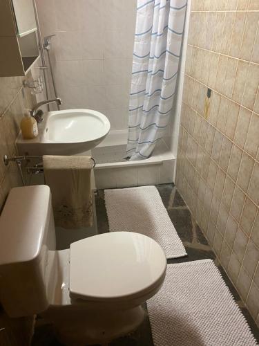 a bathroom with a toilet and a sink at chalet à diolly in Savièse